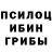 Галлюциногенные грибы Psilocybine cubensis Dyo Elena