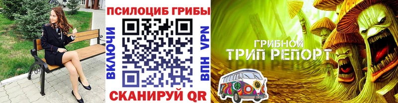 Псилоцибиновые грибы Cubensis  Куровское 